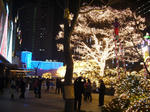 091204007.jpg