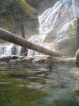 PA0_0010.JPG