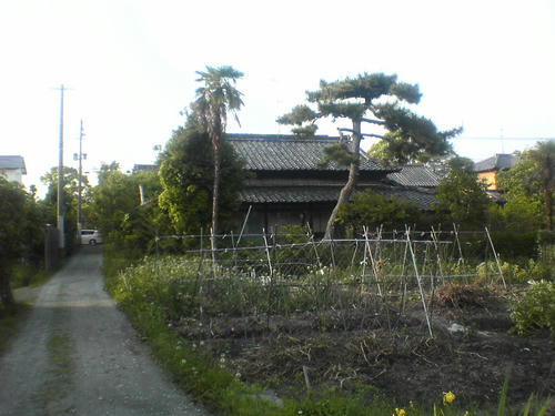 DSC00117.JPG
