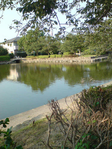 jyounai2.jpg