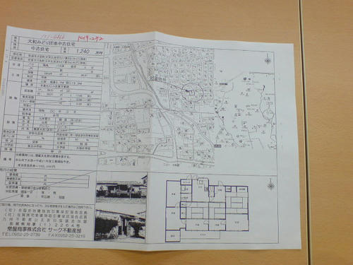 DSC01237.JPG