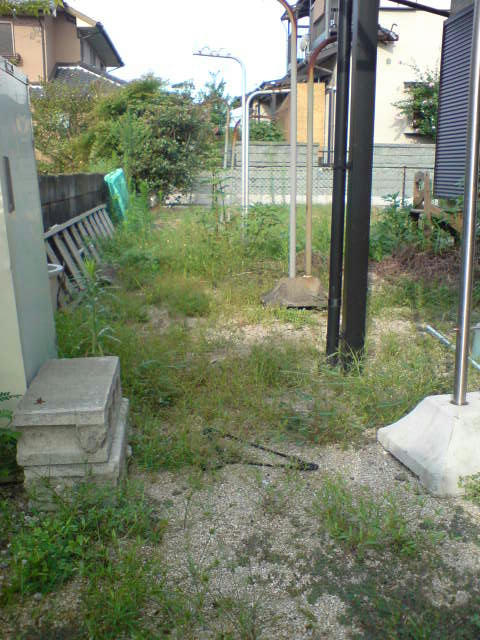 DSC01270.JPG