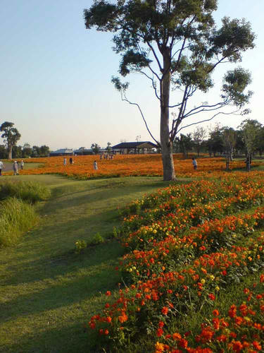 DSC01471.jpg