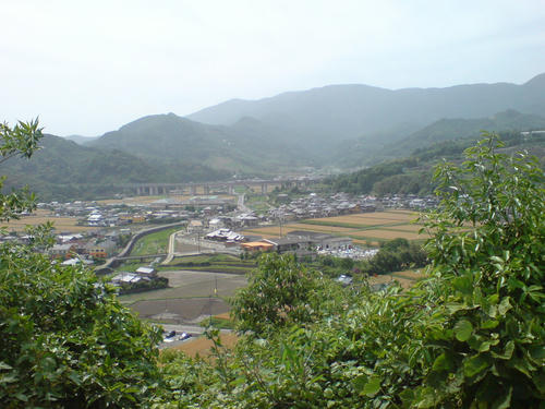 DSC02233.JPG
