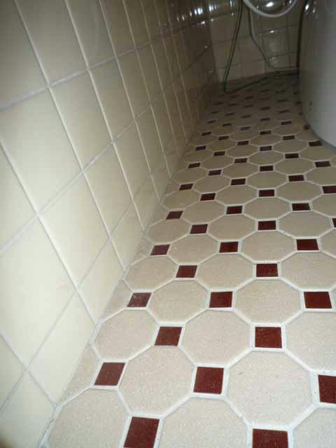 P1010077.JPG