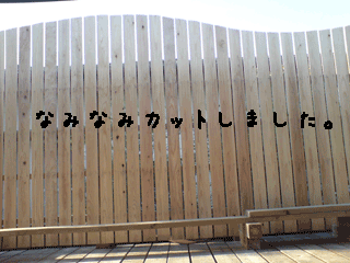 c26cd04b.gif