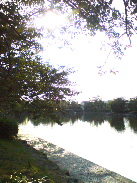 09841904.gif