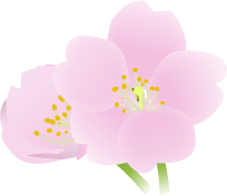 06_ill_sakura02.png