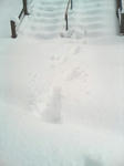 DSC00065.jpg
