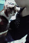 2010032909190000.jpg