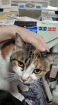 2010032909230000.jpg