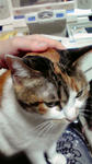 2010032909220001.jpg