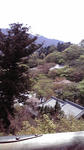 2010041812400000.jpg