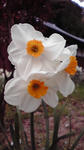 2010041816150000.jpg