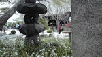 2010041816260000.jpg