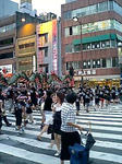 横断歩道を渡る蛇とその仲間たち