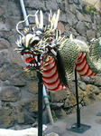 龍