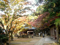 金比羅神社