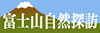 富士山自然探訪サイトへ