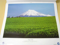 こ、この写真のアングルは、、、