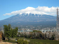 裏山からの眺めです