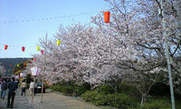 橘神社