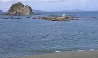 海2