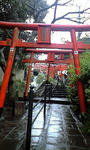 鳥居をくぐってー（リピート）
