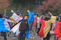 5b01248d.JPG