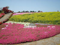 DSC01673.JPG