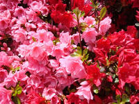 DSC01675.JPG