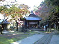 CA393145.JPG