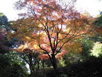 CA393146.JPG