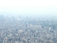 biru.jpg