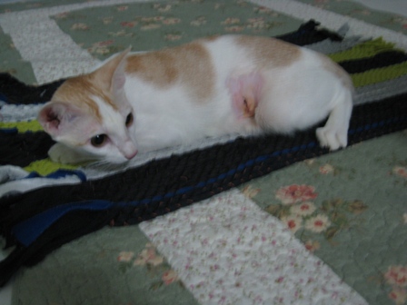 milky　hiniｎ