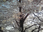 090407.jpg