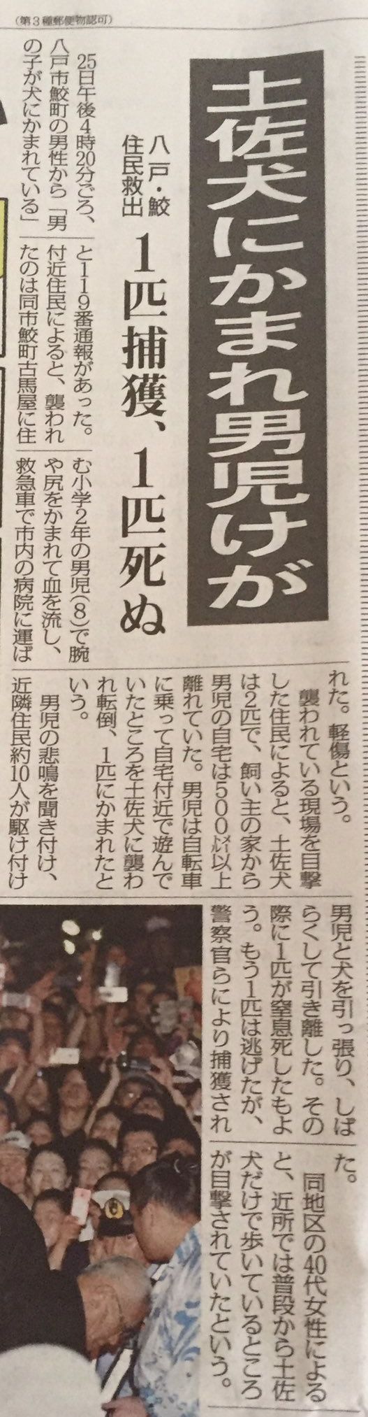 サイ 八戸 爆 新型コロナウイルス感染症に係る陽性者の確認状況／八戸市