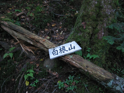 mini_IMG_3865.jpg