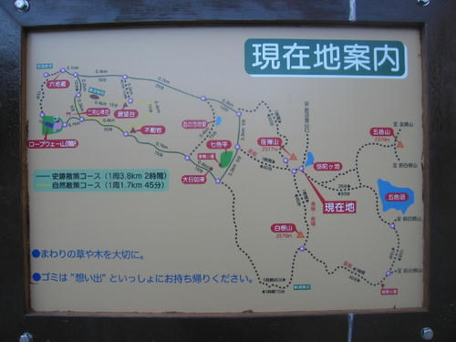 mini_IMG_3879.jpg