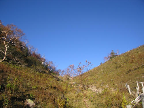 mini_IMG_3881.jpg