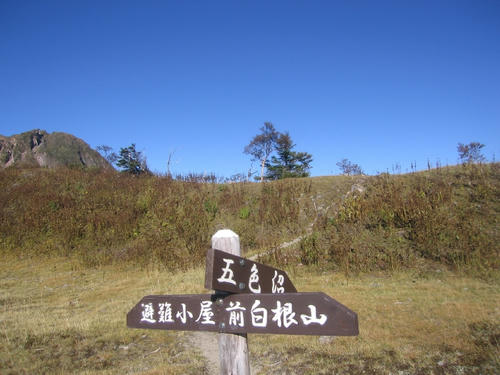 mini_IMG_3920.jpg