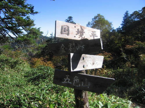 mini_IMG_3941.jpg
