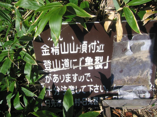 mini_IMG_3943.jpg