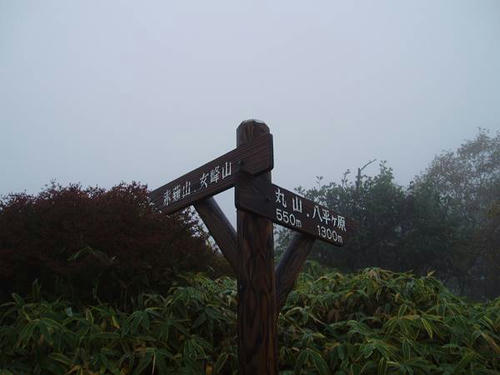 PA090015-s.JPG
