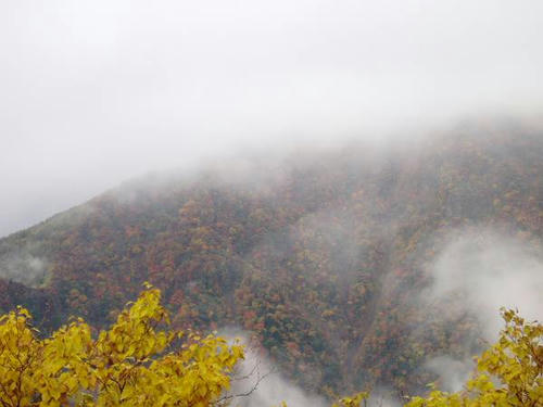 PA090030-s.JPG