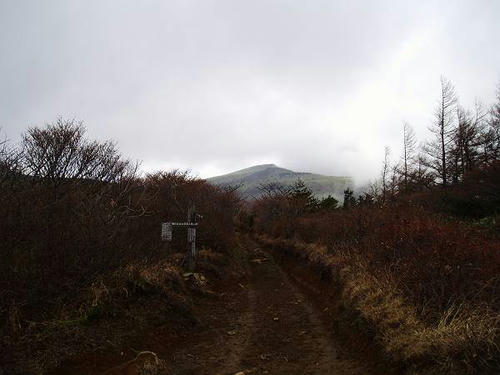 PB100017-s.JPG