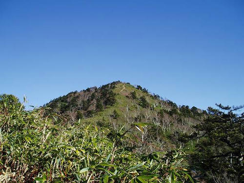 PB140056-s.JPG
