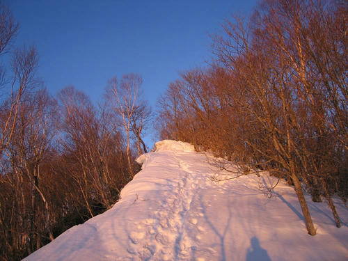 IMG_4220-s.JPG