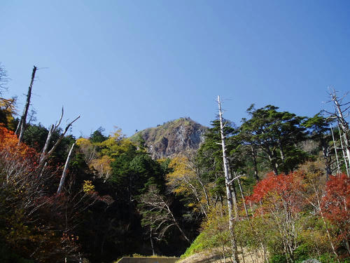 PA160308-s.JPG