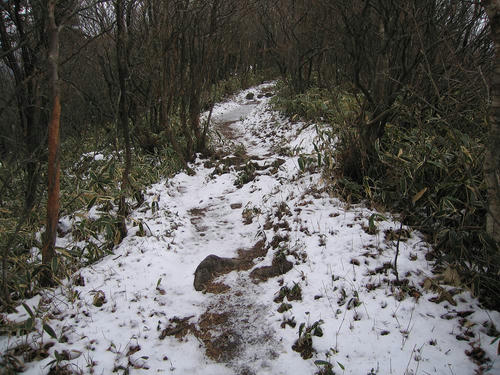 IMG_7778-s.JPG